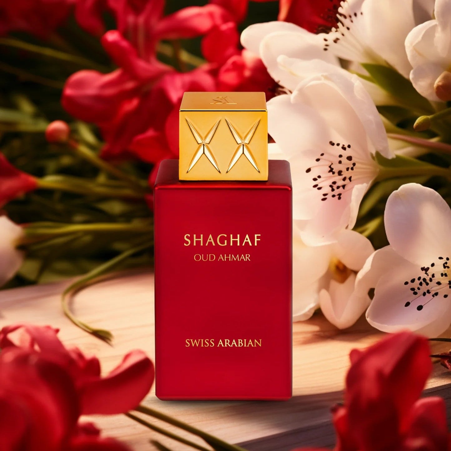 Shaghaf Oud Ahmar